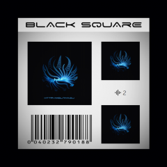 DJ Molniya - Black Square