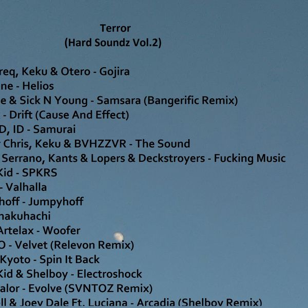 Hard Soundz Vol.2 - Terror