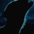 wolfmort