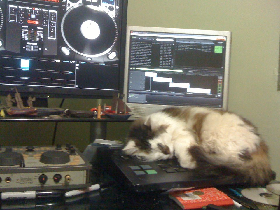 cat-dj