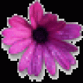 xpar