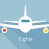 Google Flights