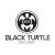 Black Turtle Records