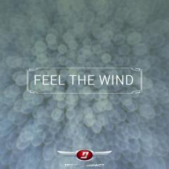 Feel-the-Wind