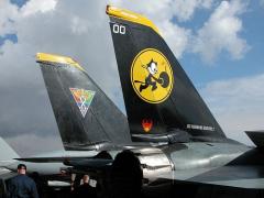 F14 Tomcat is a Plane and i nice one!