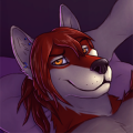 furry dj