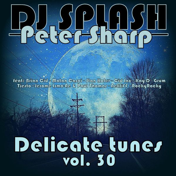 Dj Splash (Peter Sharp) - Delicate Tunes Vol.30 2017