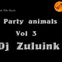 Djzuluink