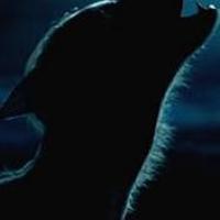 wolfmort