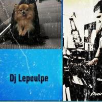 DJ Lepoulpe