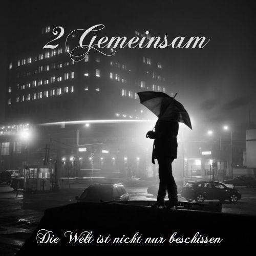 Die Welt ist nicht nur beschissen by 2Gemeinsam(Official)