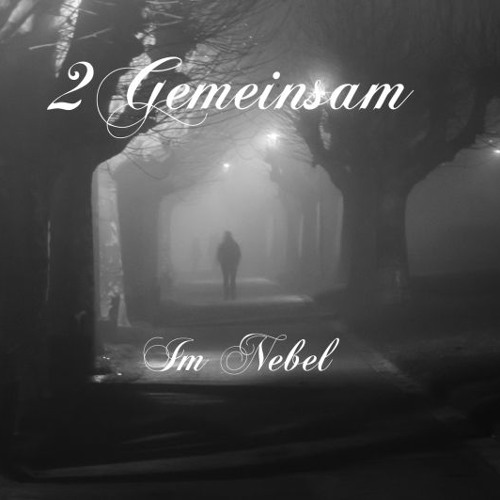 Im Nebel by 2Gemeinsam(Official)