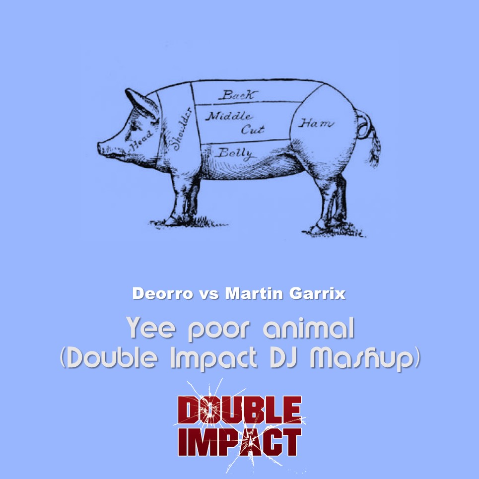 Deorro vs Martin Garrix - Yee poor animal (Double Impact DJ Mashup)