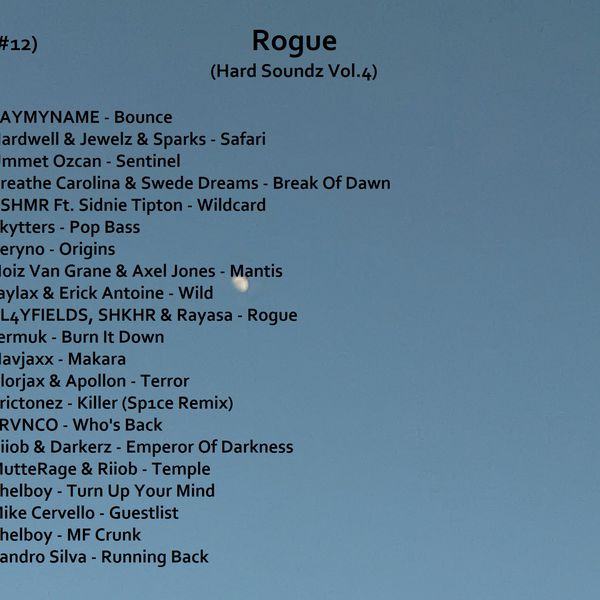 Hard Soundz Vol.4 - Rogue