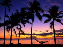 Dreaming of Fiji