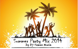 summer party mix 2014