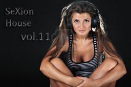 SeXion House Vol.11