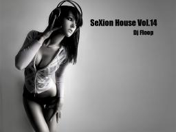 SeXion House Vol.14