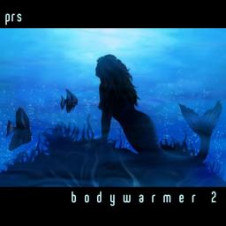 Bodywarmer 2