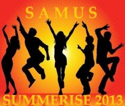 Summerise 2013