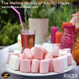 The Mellow Moods of Soulful House