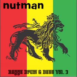 Ragga Drum &amp; Bass Volume 3