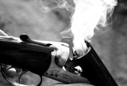 Smokin&#039; Gun