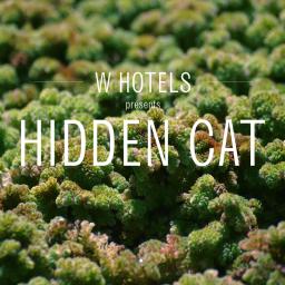 W Hotels Presents