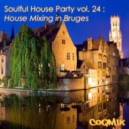 COQMIX 2013.05.31