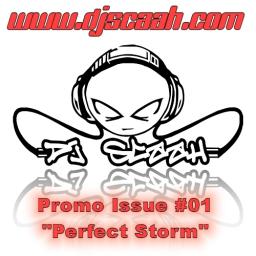 Promo Issue #1 (Perfect Storm)