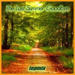 The Last Summer Goodbye