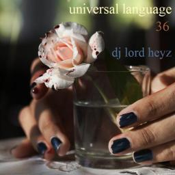 Universal Language 36