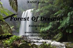 Forest Of Dreams