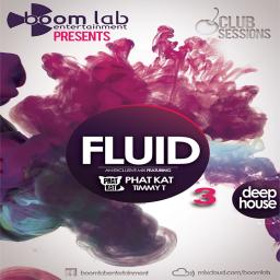 Fluid 3