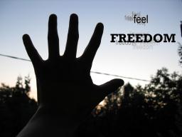 FEEL FREEDOM 