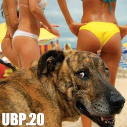 ULTIMATE BEACH PARTY 20