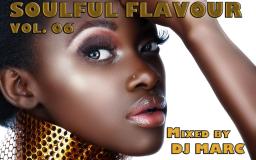 Soulful Flavour Vol. 05