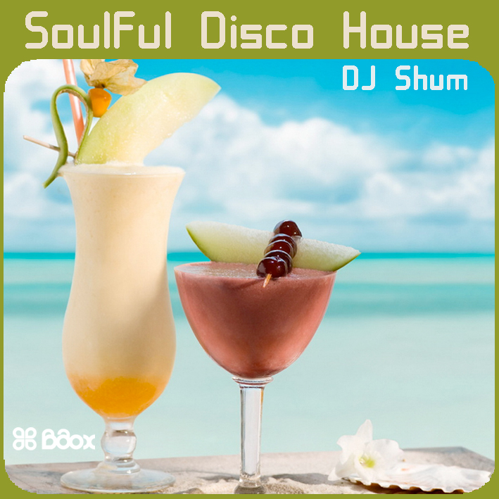 Soulful Disco House