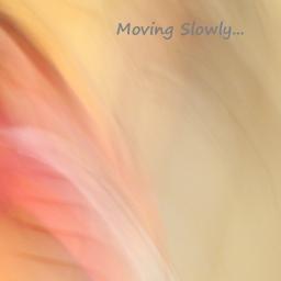 Moving Slowly