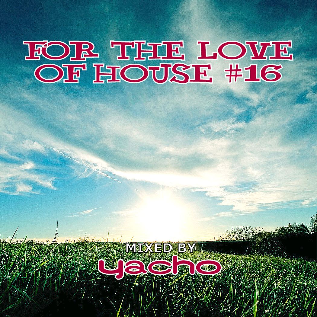 For The Love Of House #16