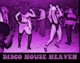 Disco House Heaven: Live from Ibiza..., Wisconsin