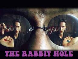 The Rabbit Hole