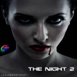 THE NIGHT 2