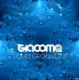 liquid grooves 3