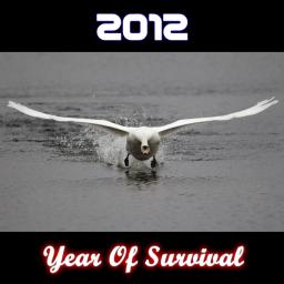 2012 : Year of Survival