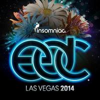 Road To EDC Las Vegas 2014