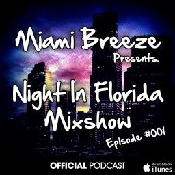 Miami Breeze - Night in Florida Mixshow Episode #001 (January 2013)