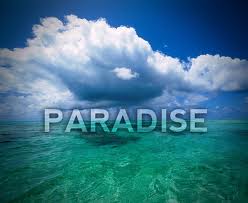 TECH-HOUSE PARADISE 