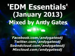 &#039;EDM Essentials (January 2013)&#039;