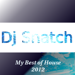 My Best of House 2012